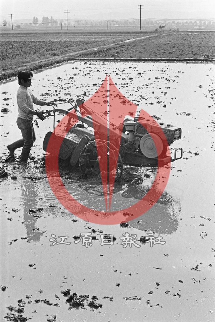 모내기 준비 이미지