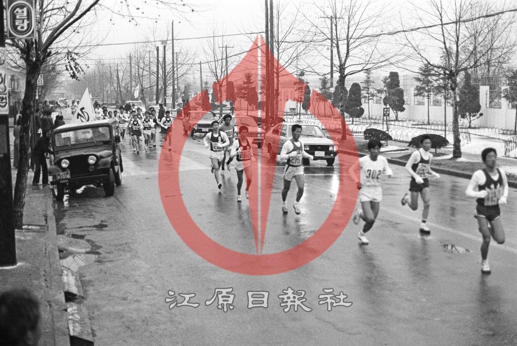 강원일보 주최 3.1절 단축 마라톤대회 이미지