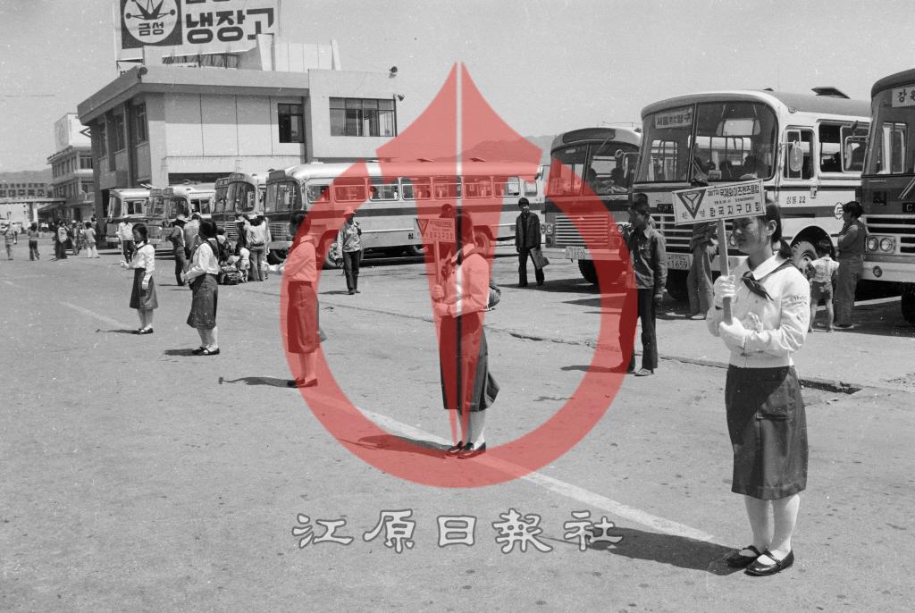 17차 국제와이즈멘즈클럽 한국지구대회 환영피켓걸 이미지