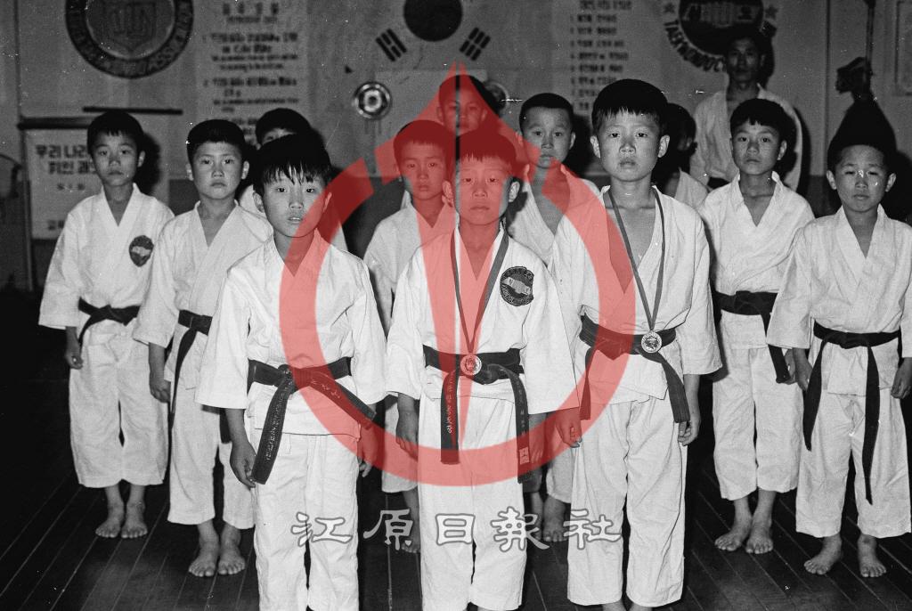 태권도 청도관 수련생 이미지