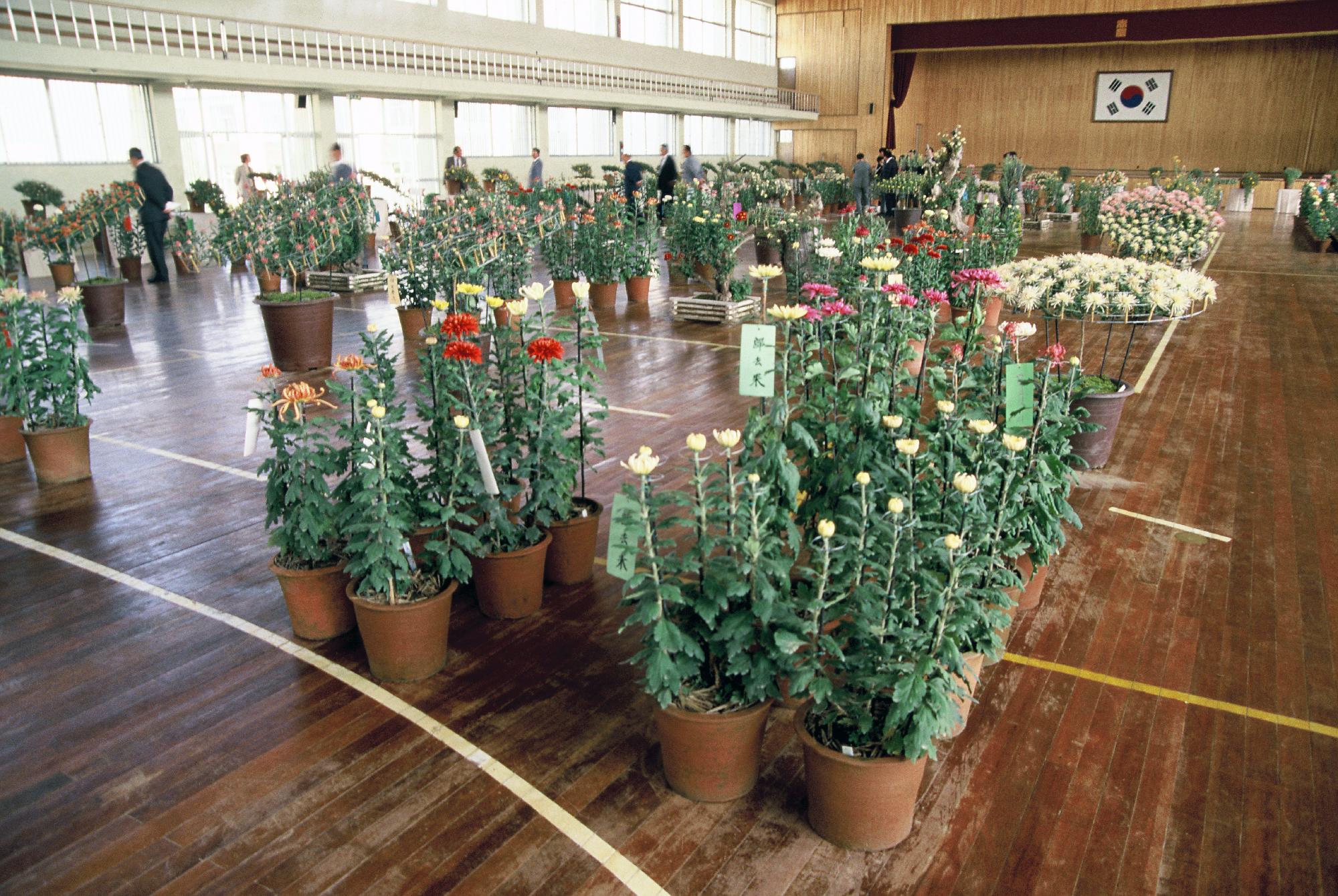 춘천농업고등학교 애농제 이미지