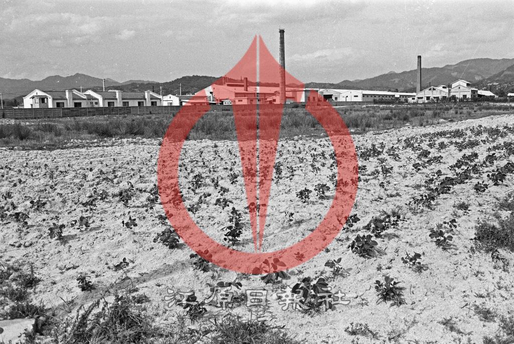 후평산업단지 이미지