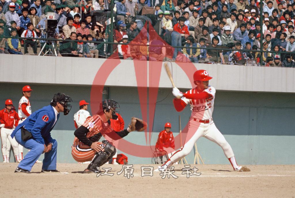 프로야구 청보핀토스 대 빙그레이글스 경기 이미지