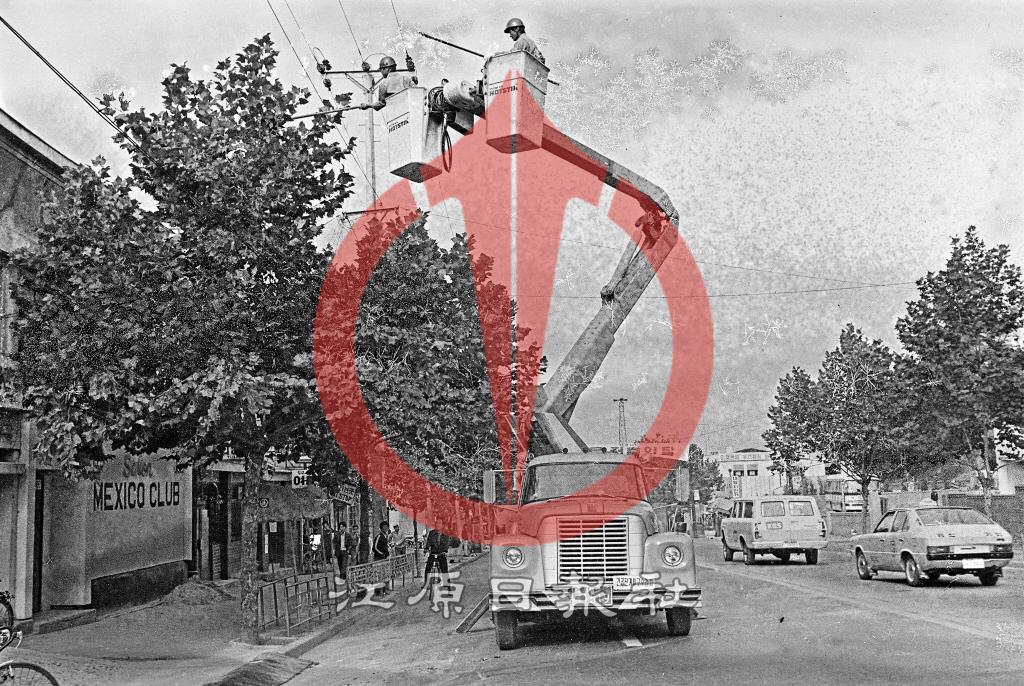 한전 가로수 가지작업 이미지