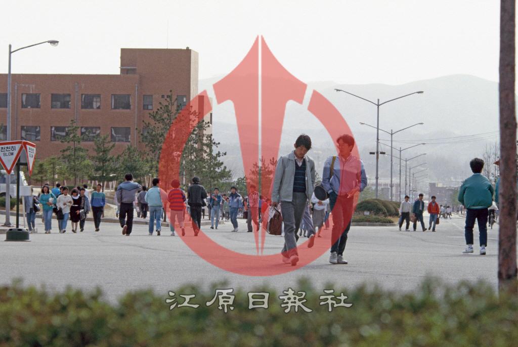 강원대학교 캠퍼스 이미지