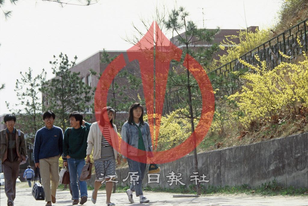 강원대학교 캠퍼스 이미지