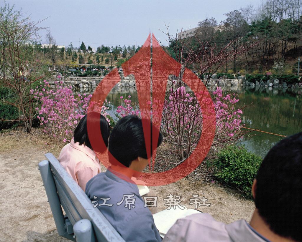 강원대학교 연적지 이미지