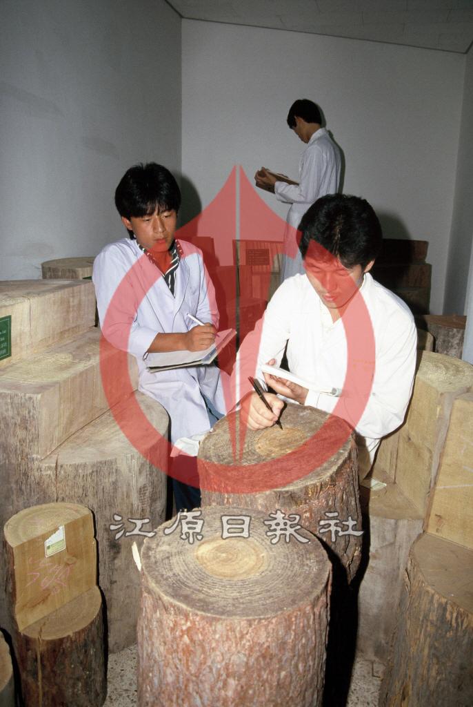 강원대학교 임학과 실험실 이미지