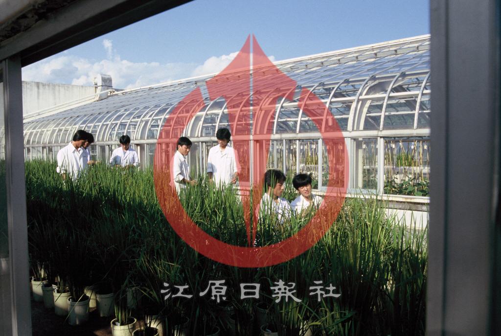 강원대학교 농학과 실습장 이미지