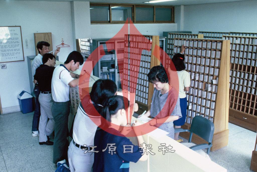 강원대학교 어학교육원 이미지