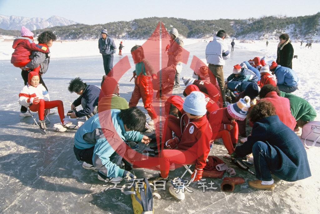 춘천교육대학교부설초등학교(교대부국) 빙상부 동계훈련 이미지