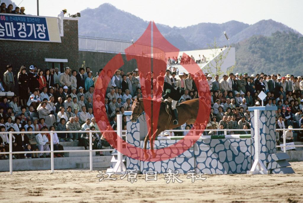 제66회 강원도 전국체육대회(전국체전) 승마경기 이미지