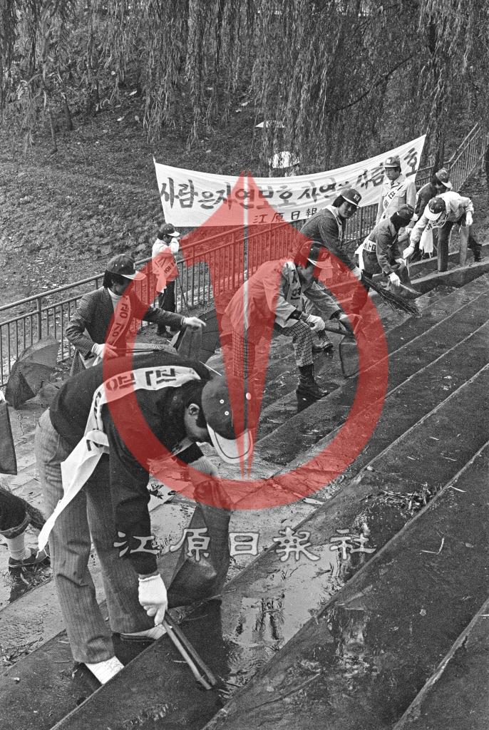 공지천변 자연보호활동 이미지