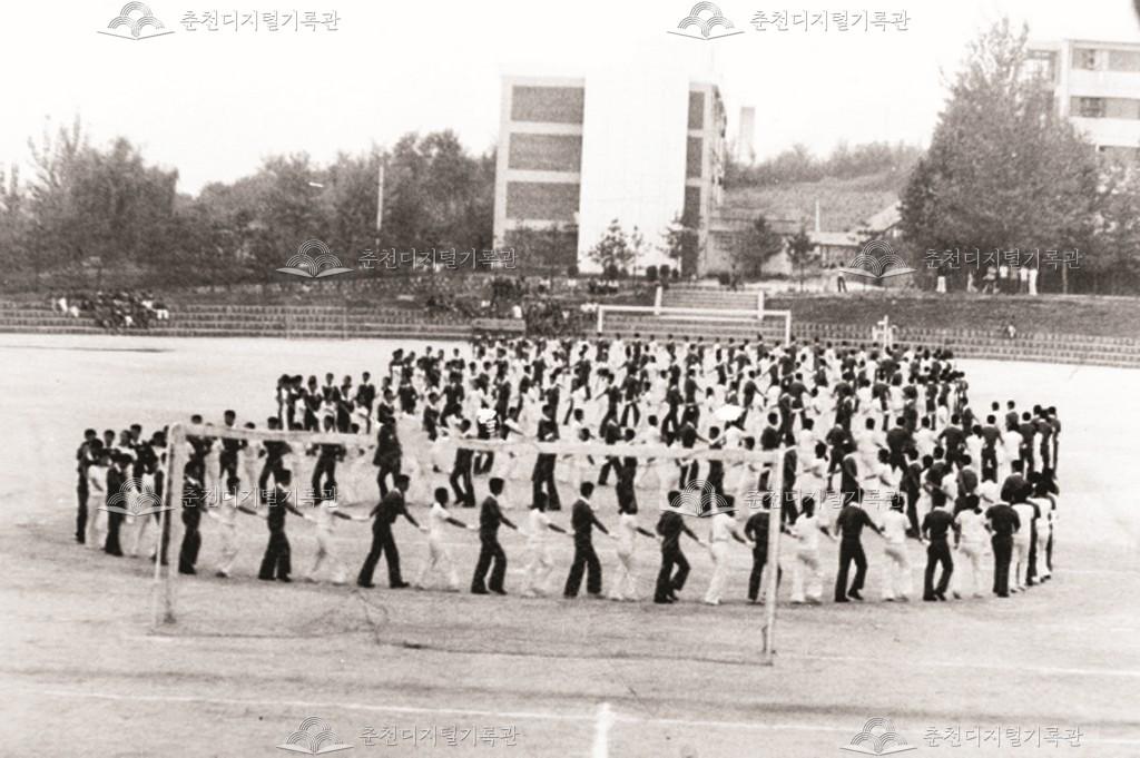 야전쾌지나 이미지