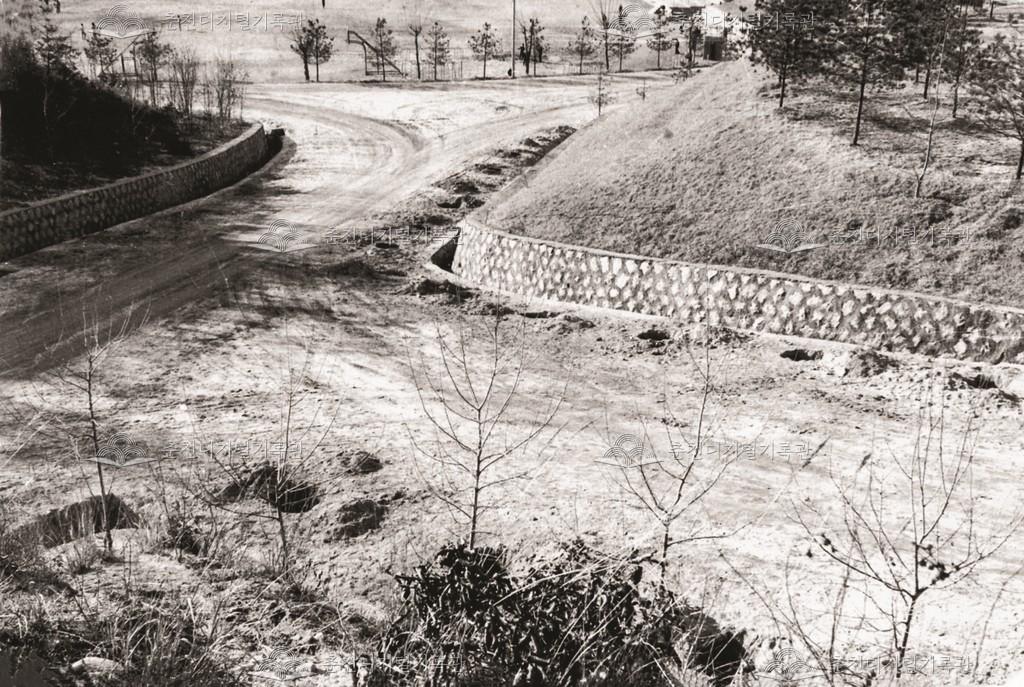 잣나무 식재 전과 후 이미지