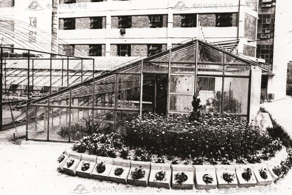 온실 이미지