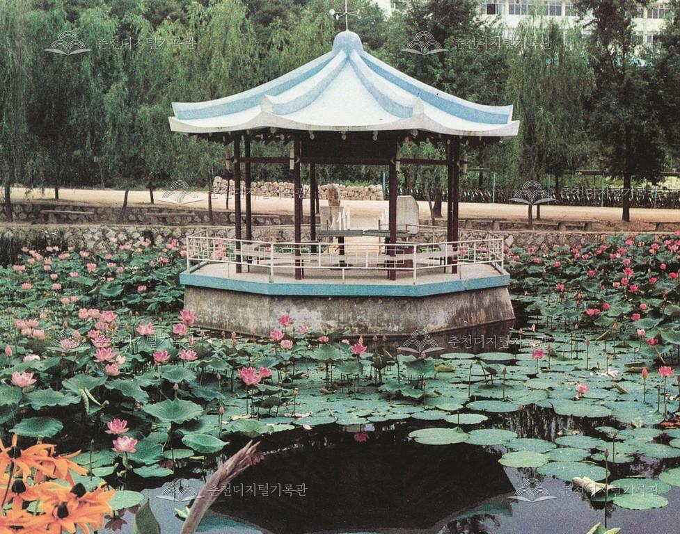 1983년 통일정 이미지