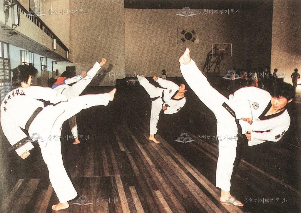 태권도부 이미지
