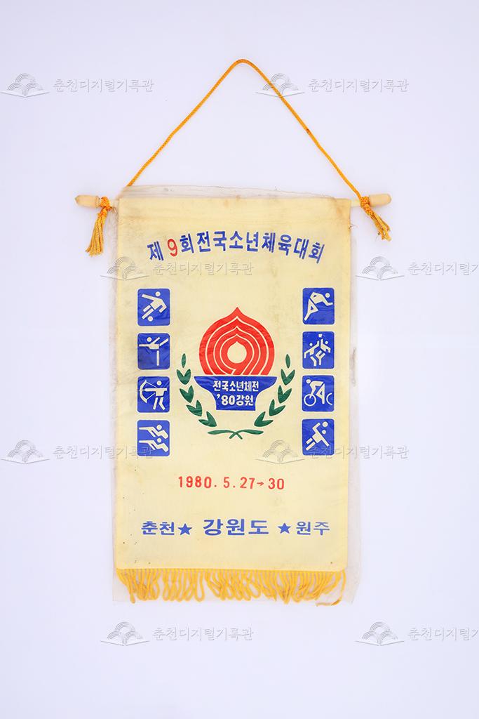 제9회 전국소년체육대회 페넌트 이미지