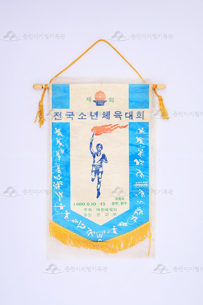 제9회 전국소년체육대회 페넌트 이미지