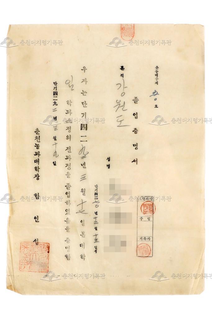 춘천농과대학 졸업증명서 이미지