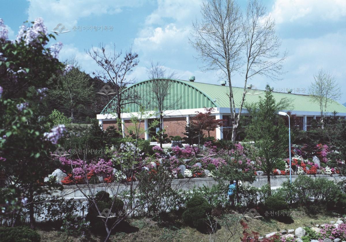 한림대학교 체육관 이미지