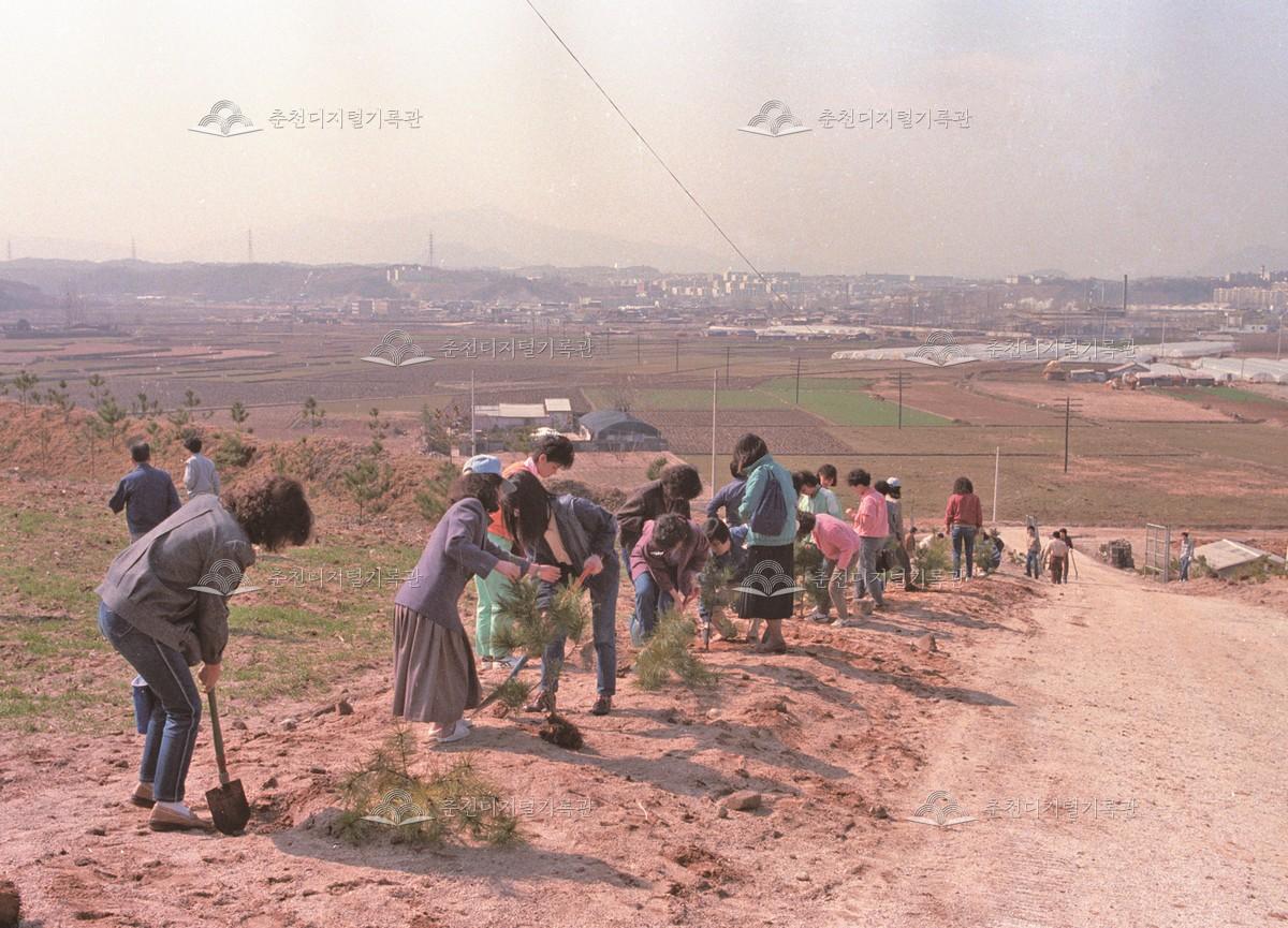 한림대학교 식목일 행사 이미지