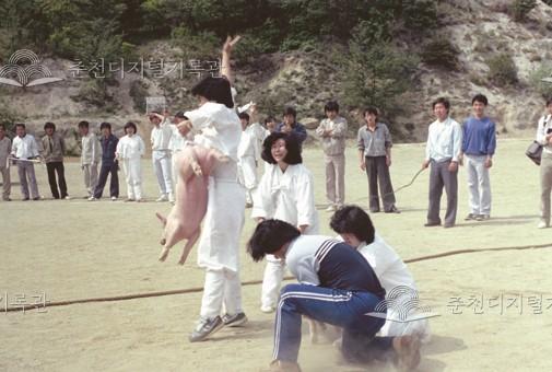 한림대학교 비봉축전 모습 이미지
