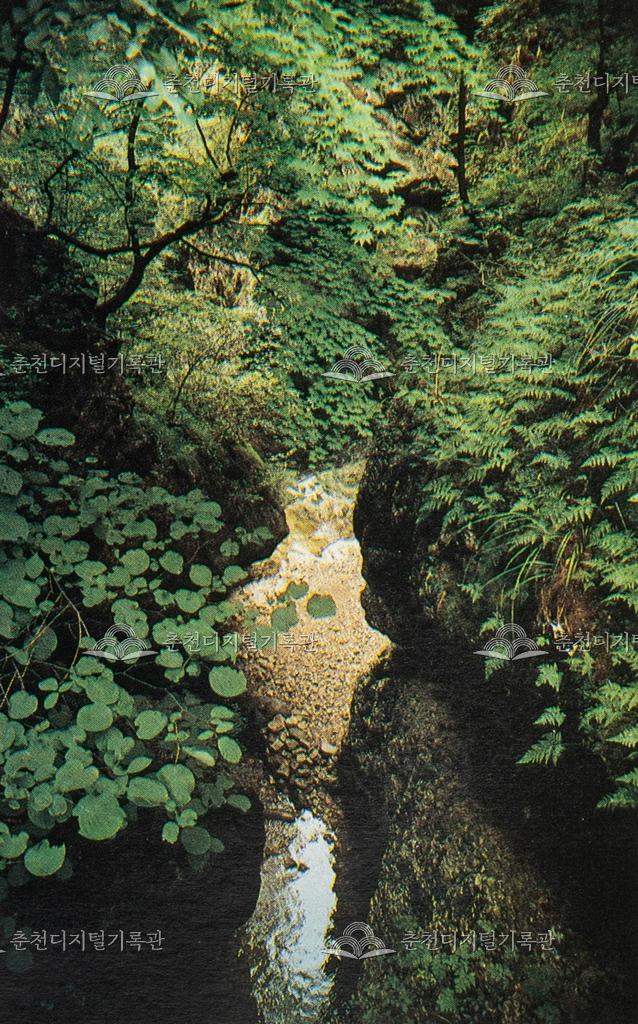 등선폭포 이미지