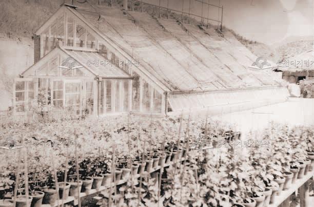 강원대학교 온실 이미지