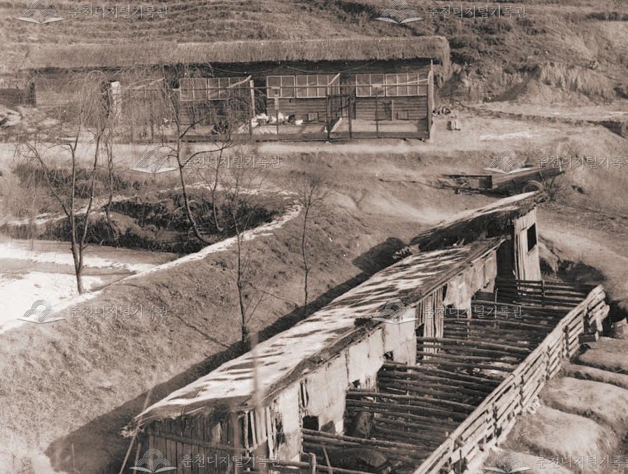 강원대학교 부속 계사 및 돈사 이미지