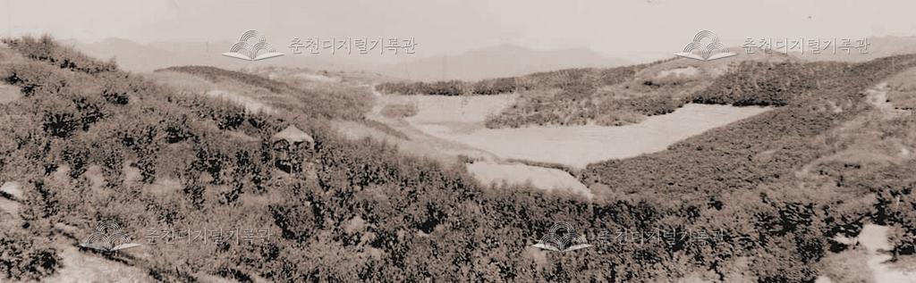 강원대학교 과수원 이미지