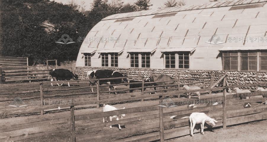 춘천농과대학 부속 대가축사 이미지