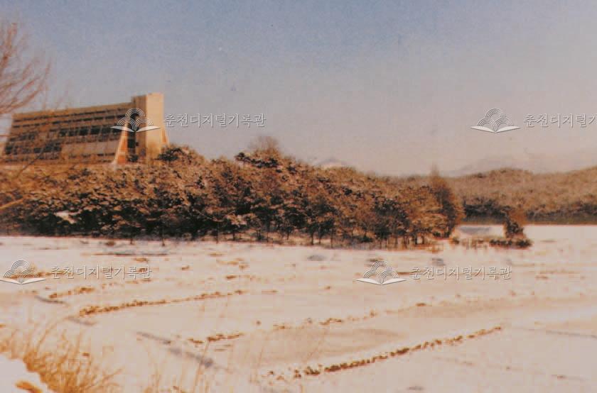 1970년대 강원대학교 전경 이미지