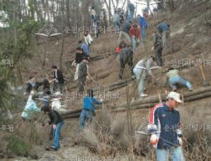 강원대학교 식목행사 이미지