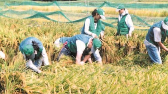 수해복구 자원봉사단 이미지