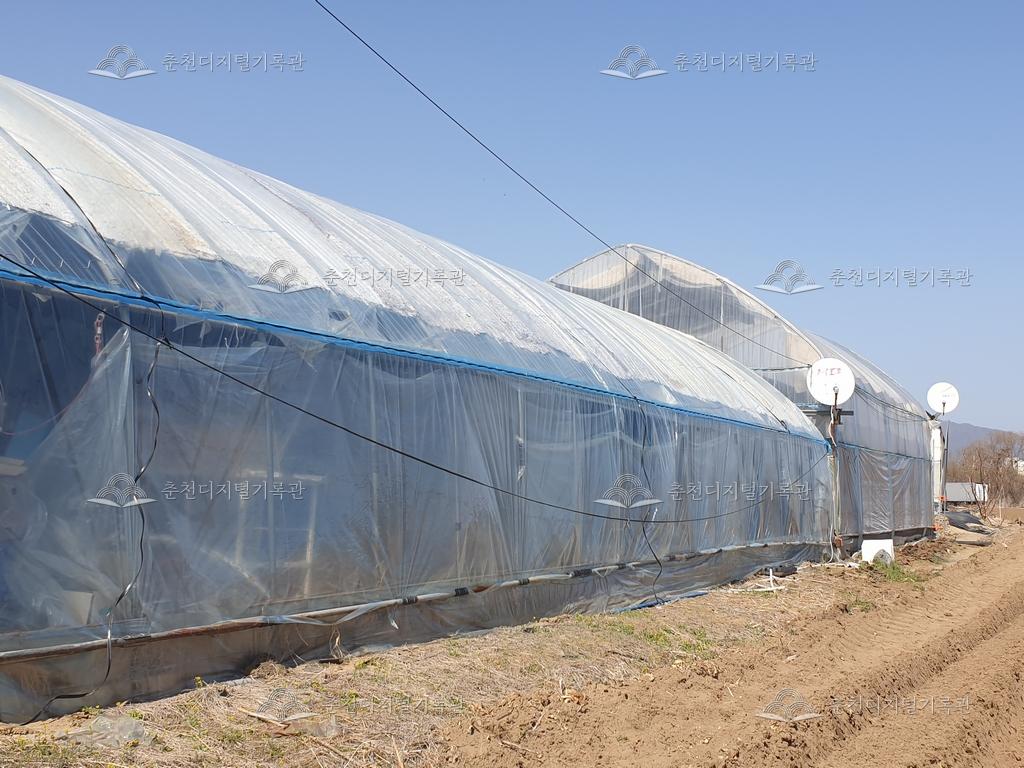 상중도 하우스 안에 지은 집 이미지