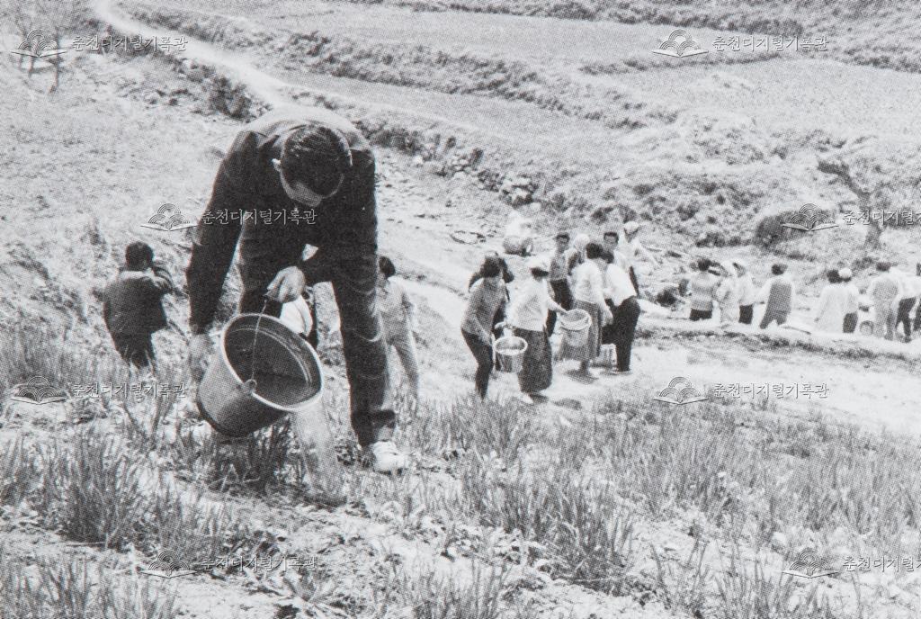 1960년대 가뭄 극복 이미지