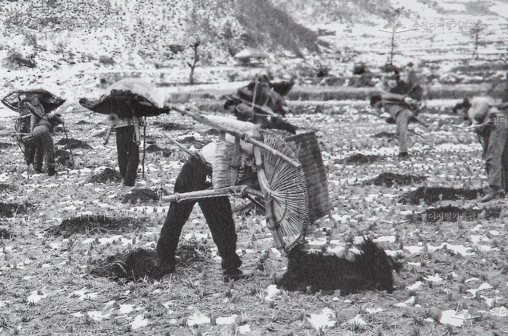1970년대 객토 이미지