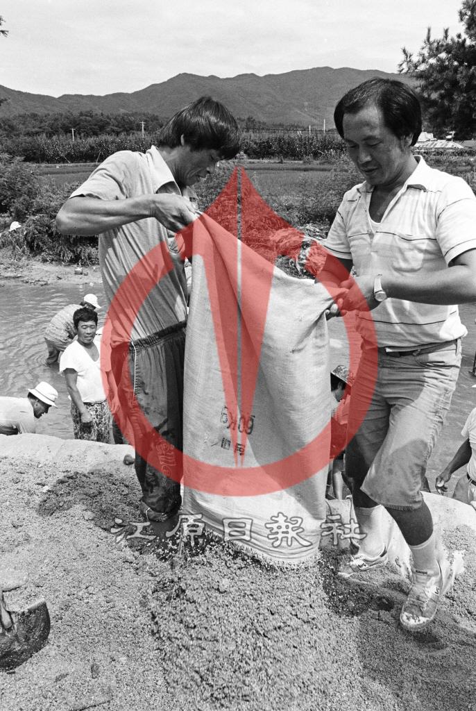 동내면 거두리 유실 논둑 복구작업 이미지