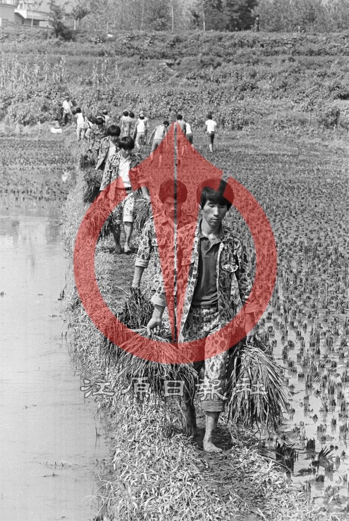 수해복구 동원된 예비군 대원들 이미지