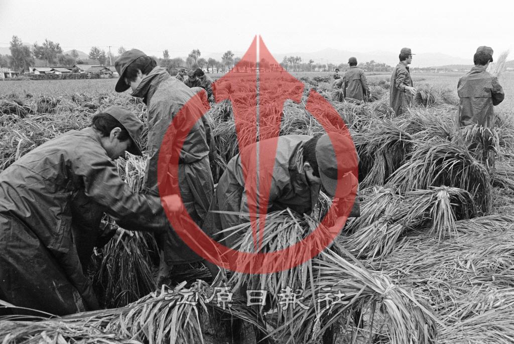 수해복구 작업중인 경찰공무원 이미지