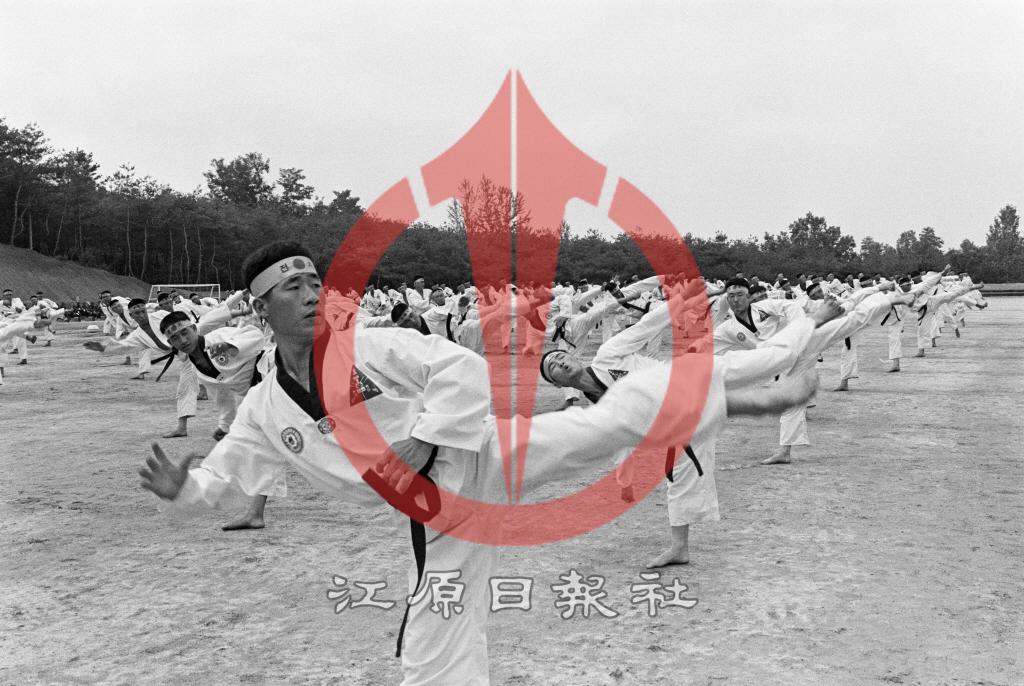 육군쌍용부대 태권도시범 이미지