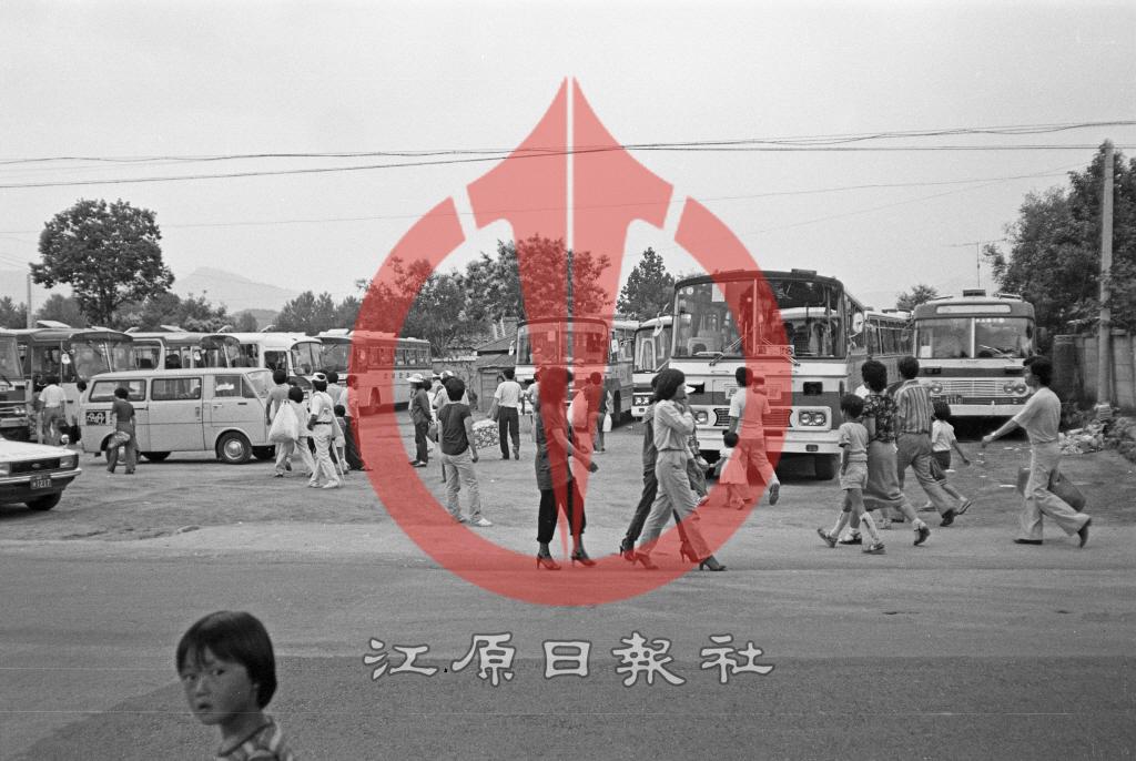 사농동 위도 입구 주차장 이미지