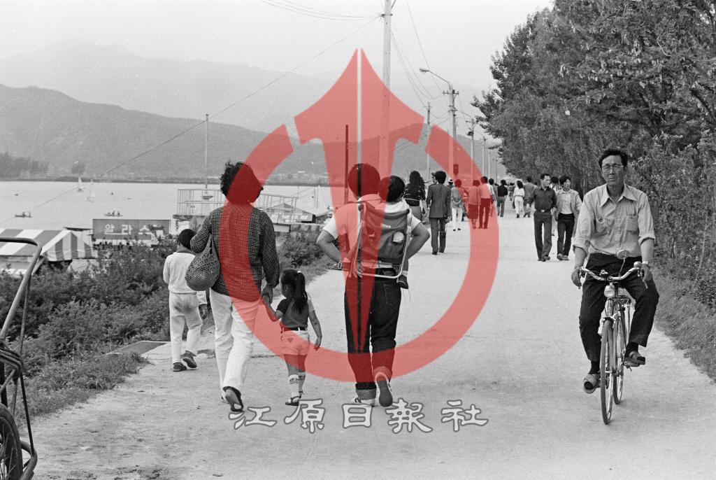 공지천 뚝방 상춘인파 이미지