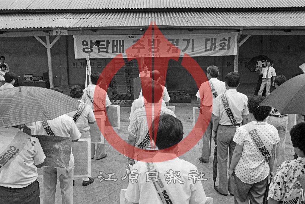 춘천전매노조 양담배추방결의대회 이미지