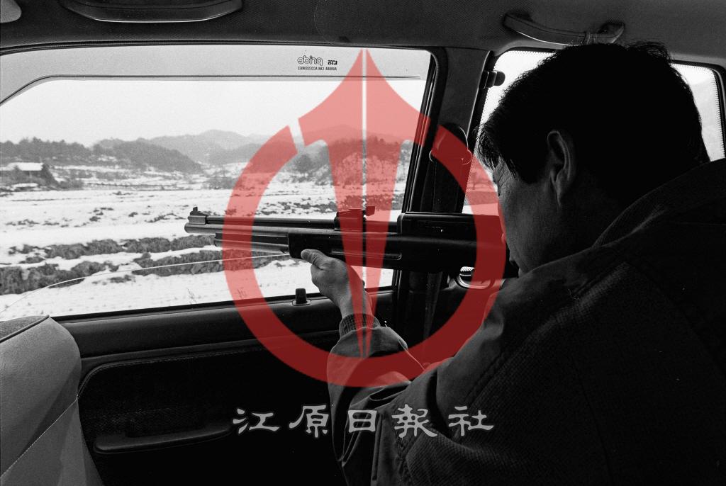 차량 이용 꿩사냥 이미지