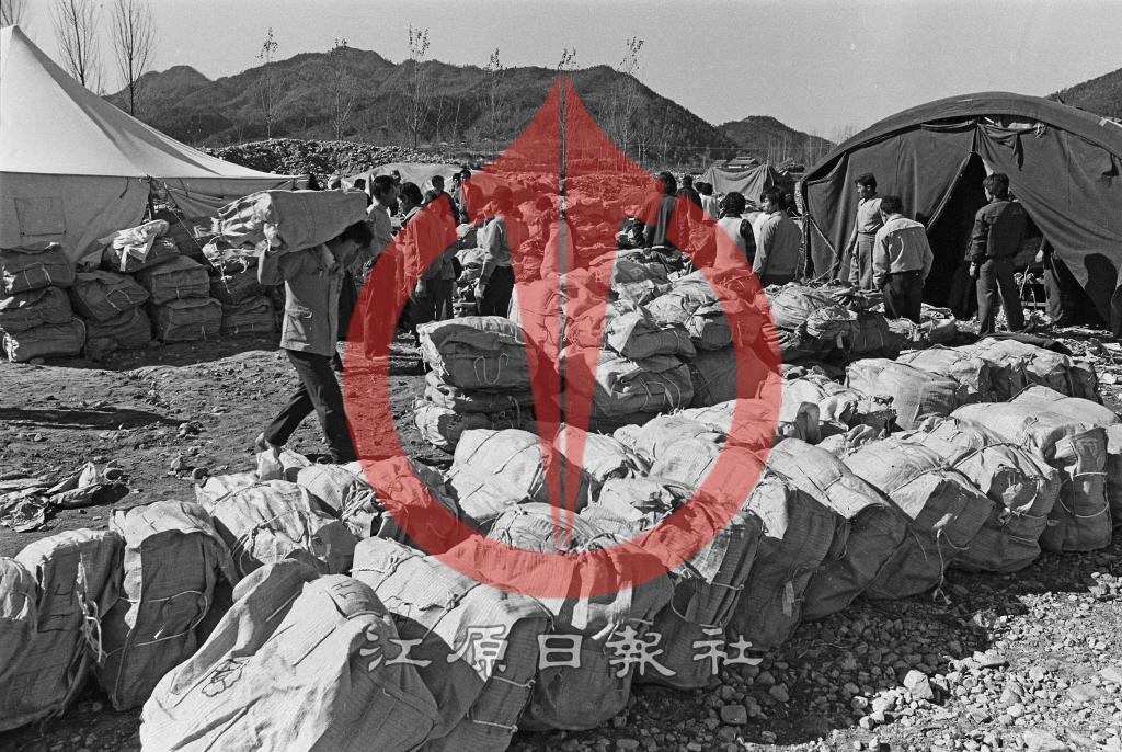 잎담배 수매 현장 이미지