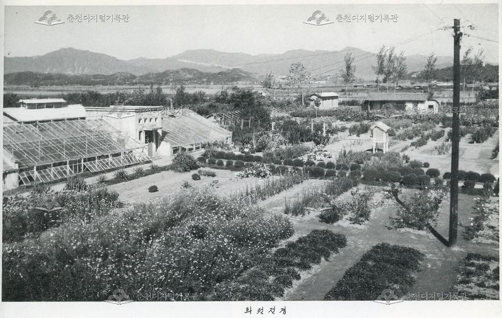 춘천농업고등학교 화원 전경 이미지