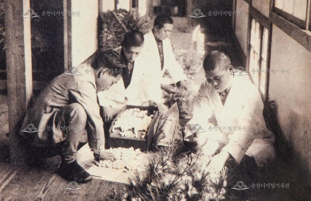 춘천공립농업학교 누에고치 따기 이미지